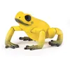 Image de Papo - 50174 - Figurine - Grenouille équatoriale - jaune