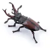 Image de Papo - Figurine Lucane Réaliste - 3 Ans + - Collection Animaux des Jardins - Jeu Éducatif Insectes - Idée Cadeau Jouet Fille Garçon