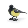 Image de Papo - Figurine Geai Européen Réaliste - 3 Ans + - Collection La Vie Sauvage - Jeu Éducatif Oiseaux Sauvages - Idée Cadeau Jouet Fille Garçon