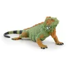 Image de Papo - Figurine Iguane Réaliste - 3 Ans + - Collection La Vie Sauvage - Jeu Éducatif Reptiles Jungle - Idée Cadeau Jouet Fille Garçon
