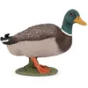 Image de Papo - Figurines A Collectionner - Canard Colvert - Animaux De La Ferme - Convient Aux Enfants - Filles Et Garçons - A Partir De 3 Ans