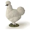 Image de PAPO - Figurine Poule Soie Réaliste - 3 Ans + - Collection La Vie À La Ferme - Jeu Éducatif Oiseaux De Ferme - Idée Cadeau Jouet Fille Garçon