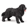 Image de Papo - Figurine Terre Neuve Réaliste - 3 Ans + - Collection Chiens Et Chats - Jeu Éducatif Animaux Domestiques - Idée Cadeau Jouet Fille Garçon