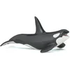 Image de Papo- Orque l'univers Marin Animaux Figurine, 56000, Gris