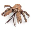Image de Papo - Crabe de Cocotier - Figurine Animal Marin Réaliste - 3,4 cm