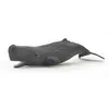 Image de Papo - Figurine Bébé Cachalot Réaliste - 3 Ans + - Collection Univers Marin - Jeu Éducatif Jeunes Mammifères Marins - Idée Cadeau Jouet Fille Garçon