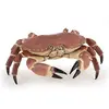Image de Figurine Crabe Marin Réaliste Collection Univers Marin Enfant Dès 3 Ans | Jeu éducatif découverte de l'océan | 8 x 7.5 x 2.5 cm | peinte à la main | petit crustacé aux pinces robustes | idée cadeau