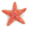 Image de Papo -Figurine étoile de mer -L'univers Marin-À Collectionner-Pour Enfants - Filles et Garçons - A Partir de 3 Ans