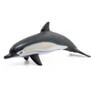 Image de Papo -Figurine Peinte A La Main -l'univers Marin-Dauphin commun-56055-À Collectionner-pour Enfants - Filles et Garçons - A Partir de 3 Ans, Blanc