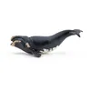 Image de Papo - Figurine Baleine Franche Réaliste - 3 Ans + - Collection Univers Marin - Jeu Éducatif Mammifères Marins - Idée Cadeau Jouet Fille Garçon