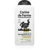 Image de Corine de farme Shower Gel 2 in 1 Batman Gel douche 2 en 1 300 ml