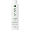 Image de Biolage, Strength Recovery, Shampoing Concentré Renforçateur, Cheveux Abîmés, Hydrate & Fortifie, Enrichi en Squalane d'Olive & Protéines, Formule Végane, 400 ml