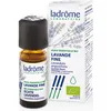 Image de ladrôme - Lavande fine Huile corps 10 ml unisex