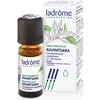 Image de ladrôme - Ravintsara Huile corps 10 ml unisex