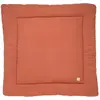 Image de Grand tapis Uni Terracotta Rouge