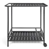 Image de Livoo - Desserte de Jardin GS163C   Plateau supérieur 66 x 42 cm, Plateau inférieur 61 x 42 cm avec Rangement Bouteilles, Acier, 2 roulettes