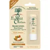 Image de LE PETIT OLIVIER - Baume Lèvres Nourrissant - Huile d'Argan - Nourrit & Assouplit - Lèvres Sèches - Huiles 100% D'Origine Végétale - Fabriqué en France - 4 g (Lot de 3)