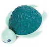 Image de LUDI - LUDI Splash - Tortue de Bain - Jeu d'eau - Effets Lumineux - Éveil Sensoriel et Motricité Fine - Facile à Entretenir - Dès 12 Mois, Turquoise
