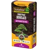 Image de SOLABIOL TERBON6 Terreau Bonsaïs, 6 liters L, 6L, 21 x 50 x 5 cm