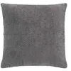 Image de Douceur d'Intérieur, Coussin Déhoussable (45 x 45 cm) Leo Anthracite, Velours Chenillé