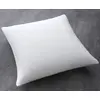 Image de Today Protege Oreillers Absorbant 50/70 A Bouillir - 100% Coton, Blanc