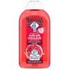 Image de Le Petit Marseillais | Shampooing Sublime Couleur Pulpe de Grenade Bio (flacon de 250 ml)   Shampoing sans silicone pour cheveux méchés et colorés   Soin cheveux pour une brillance optimale (Lot de 2)
