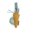 Image de Hochet anneau de dentition carotte