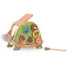 Image de Tortue d'activités Trois petits lapins Multicolore