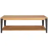 Image de CONCEPT1 Manhattan 120 x 60 x 40 cm MAN-TBR120
