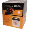 Image de Greenstar 11919 Batterie YB16.B