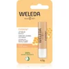 Image de Weleda Everon baume protecteur lèvres 4.8 g