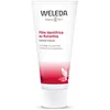 Image de WELEDA - Pâte Dentifrice au Ratanhia - Formule Naturelle pour une Haleine Fraîche - Goût Menthe/Anis - Tube 75 ml (Lot de 2)