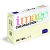 Image de IMAGE Coloraction 838A 120S 2 Antalis Papier couleur A4 120 g/m² Ivoire/2 (Import Allemagne)
