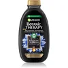Image de Garnier Botanic Therapy Magnetic Charcoal shampoing pour cuir chevelu gras et pointes sèches 400 ml