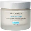 Image de SkinCeuticals - Daily Moisture Crème de jour 60 ml female
