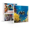 Image de Smartbox - Coffret Cadeau Homme - Exploration plongée - idée Cadeau pour Lui - 1 expérience de plongée pour 1 à 3 Personnes