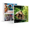 Image de Smartbox - Coffret Cadeau Femme Homme - 2 Jours insolites dans Les Arbres - idée Cadeau Anniversaire - 1 Nuit Insolite avec Petit-déjeuner pour 2 Personnes