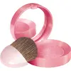 Image de Bourjois Fard Joues 54