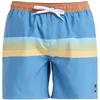Image de Quiksilver Boardshort Everyday Straight Volley 15 Homme Bleu L