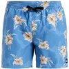 Image de Quiksilver Boardshort Everyday Straight Volley 15 Homme Bleu XS