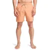 Image de BILLABONG Menshort de Bain All Day Layback 16" L