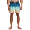 Image de Billabong Short de Bain All Day Fade LB Homme Vert