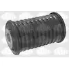 Image de SASIC Suspension, ressort à lames pour RENAULT: Master, Master Propulsion (Ref: 4003348)