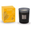 Image de Esteban - Ambre Bougies 170 g unisex