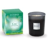 Image de Esteban - Eau d'Amazonie BOUGIE PARFUMÉE INITIALE RECHARGEABLE Bougies 180 g unisex