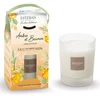Image de Esteban - Ambre et Baumes BOUGIE PARFUMÉE RECHARGEABLE TAKE-AWAY Bougies 180 g unisex