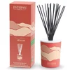 Image de Esteban - TERRE D OCRE KARITE Diffuseurs et parfums d'intérieur 100 ml unisex