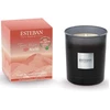 Image de Esteban - Iconic Color TERRE D OCRE KARITE Diffuseurs et parfums d'intérieur 180 g unisex