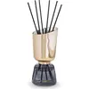 Image de Esteban - DORÉ CÈDRE Diffuseurs et parfums d'intérieur 250 ml unisex