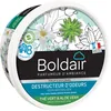 Image de BOLDAIR - Destructeur d’Odeurs en Gel Thé Vert & Aloe Vera - Neutralise les Mauvaises Odeurs & Parfume l’Air - Made in France - Boîte Diffuseuse 300 g